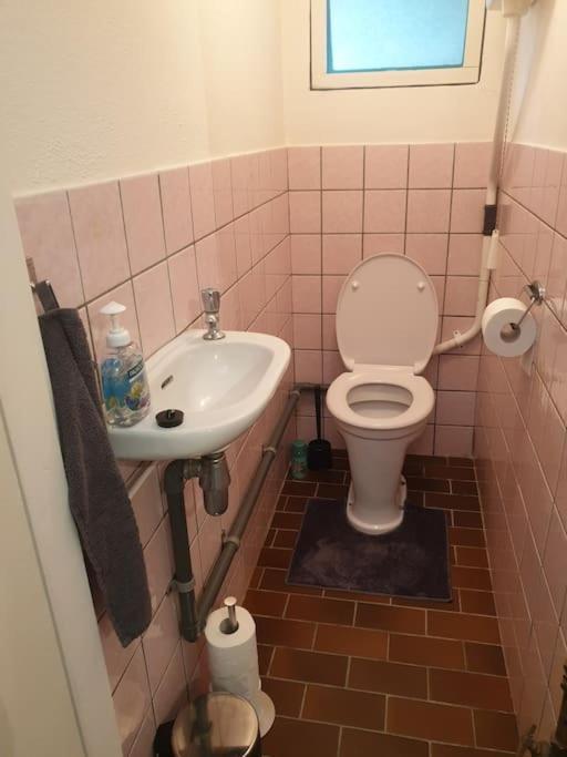 Erve Immink Holiday home